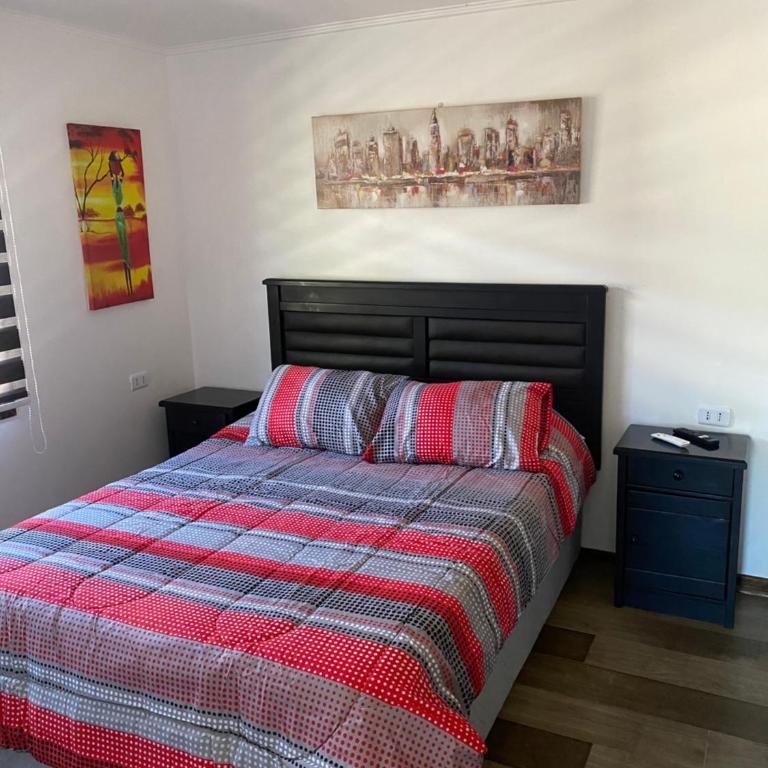 Cabañas San Fabian - Deluxe Double Room - 15