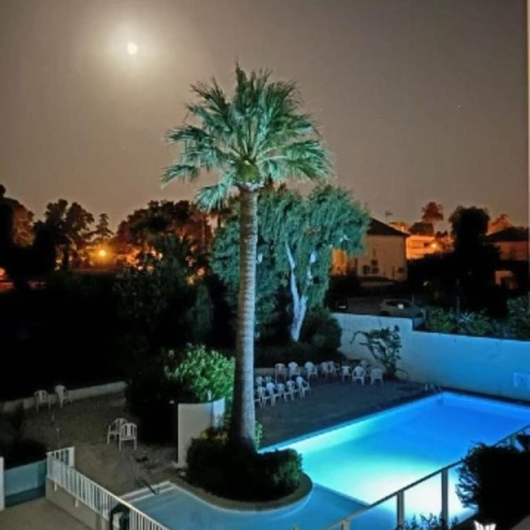 Seafront one bedroom apartment with a terrasse swimming pool and a parking - Appartement - 20