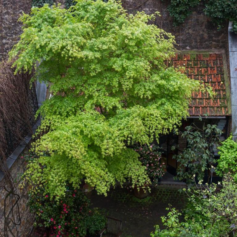 Veeve - Charming Townhouse near Parc Montsouris - Maison de Vacances - 38
