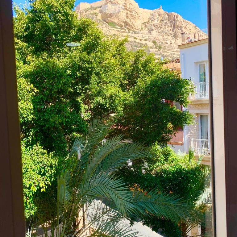 Apartment en Rambla - Three-Bedroom Apartment - 19