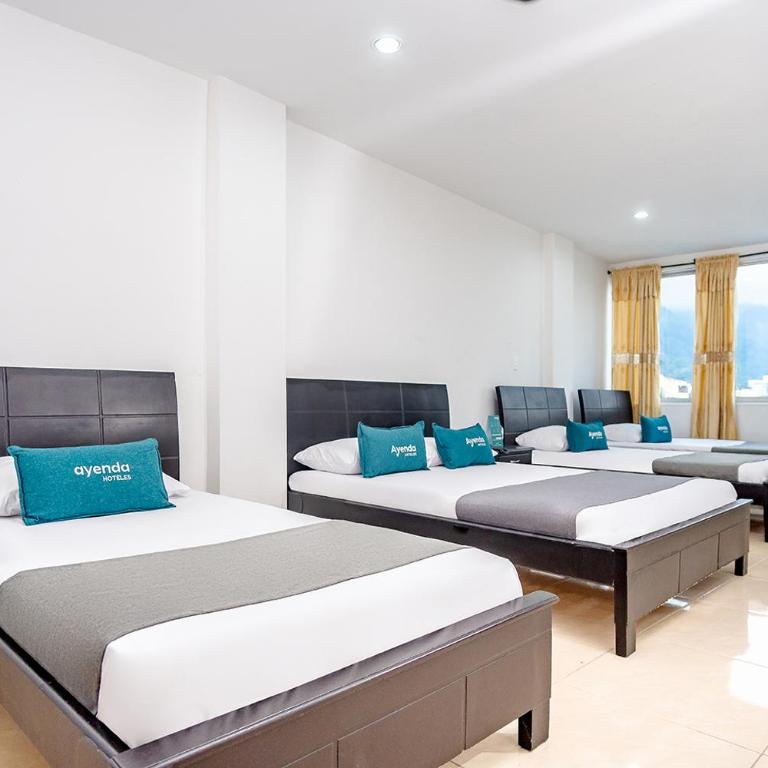 Ayenda Gold Plaza - Habitación Familiar - 1