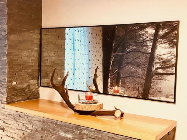 Wilderer Suiten Mariazell - Suite 2 Chambres - 3