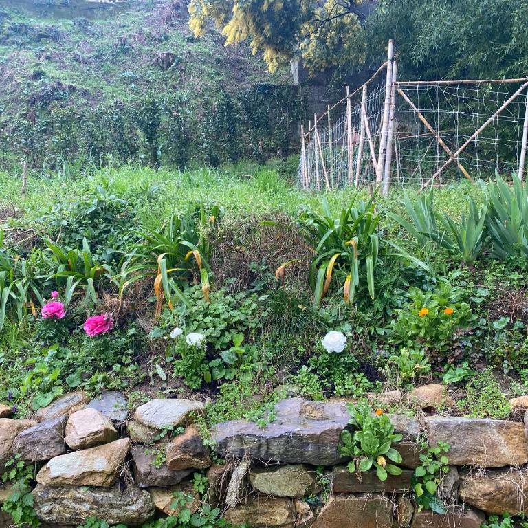 Dolce Vita in Tuscany B&B - Camera Matrimoniale con Bagno Privato - 35