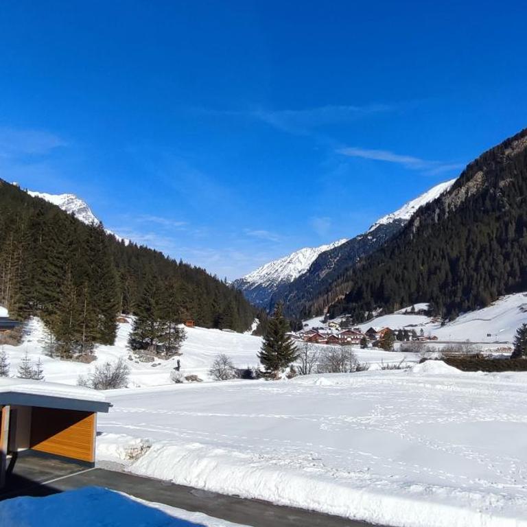 Haus Alpenrose Pitztal-Sommercard-Partner - Apartment - 8