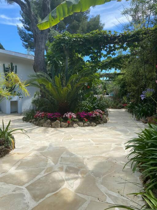Cap d'Antibes 50m from the beach 3 bedrooms/Pool - Villa 3 Chambres - 41