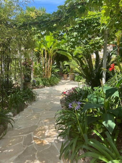 Cap d'Antibes 50m from the beach 3 bedrooms/Pool - Villa 3 Chambres - 42
