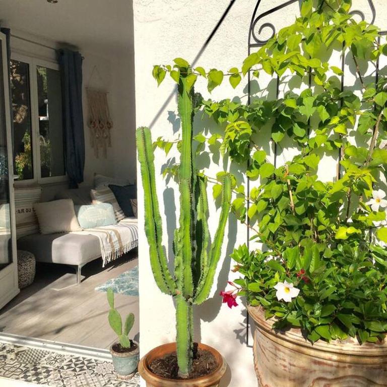 Cap d'Antibes 50m from the beach 3 bedrooms/Pool - Villa 3 Chambres - 14