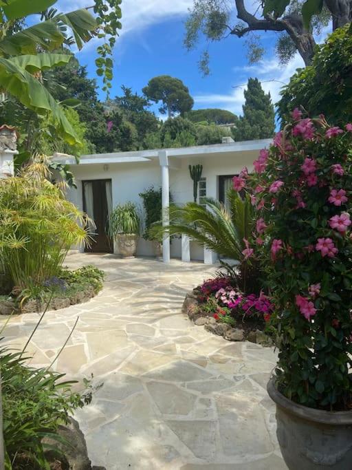 Cap d'Antibes 50m from the beach 3 bedrooms/Pool - Villa 3 Chambres - 40