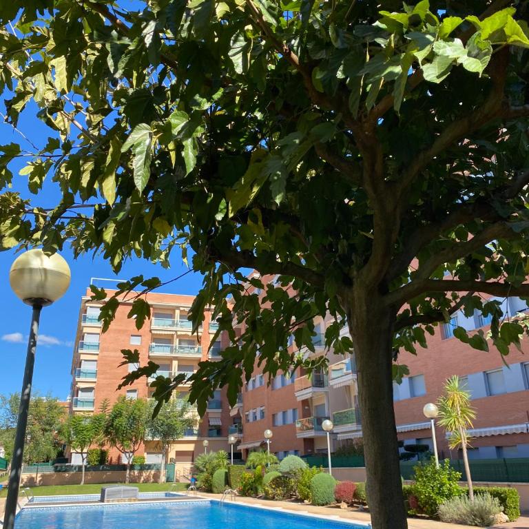 PLATANERA apart - Apartamento de 3 dormitorios - 11
