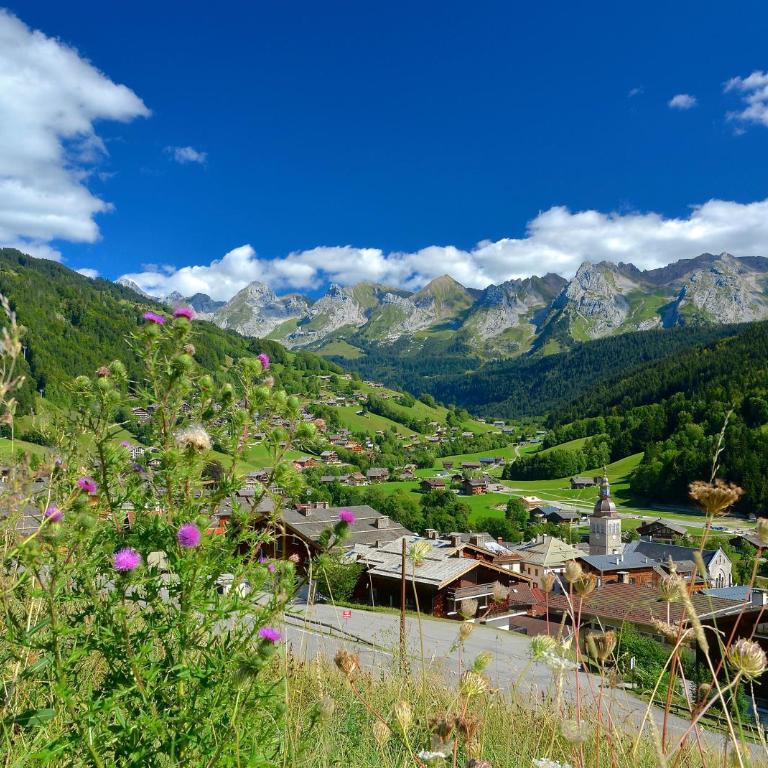Studio Bel'Alp - Studio (4 Erwachsene) - 14