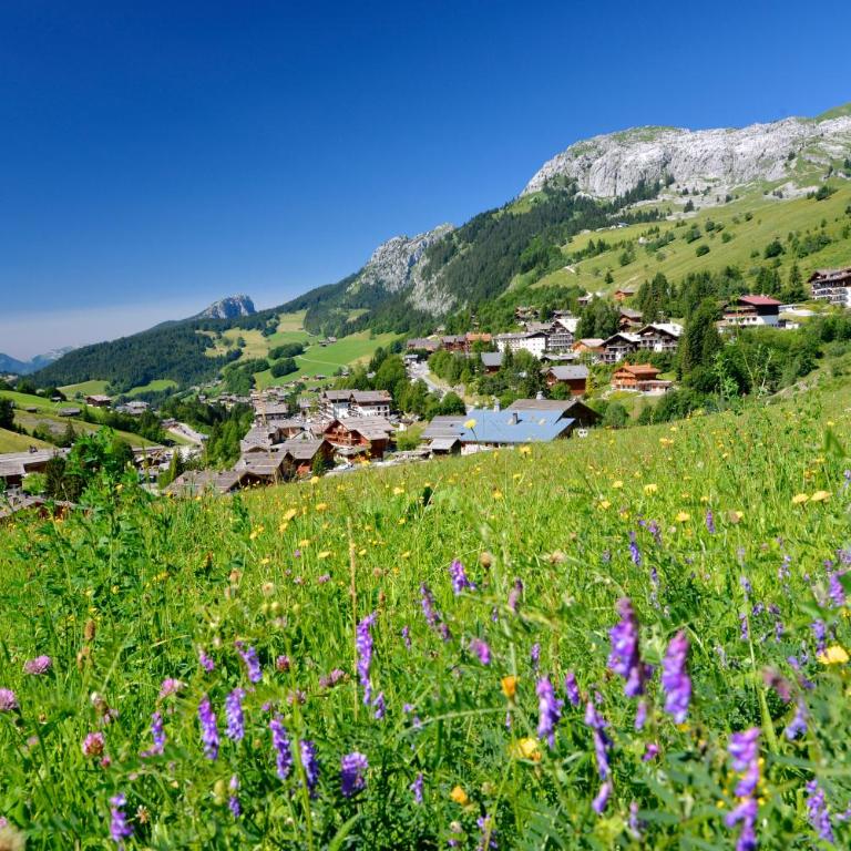 Studio Bel'Alp - Studio (4 Erwachsene) - 9