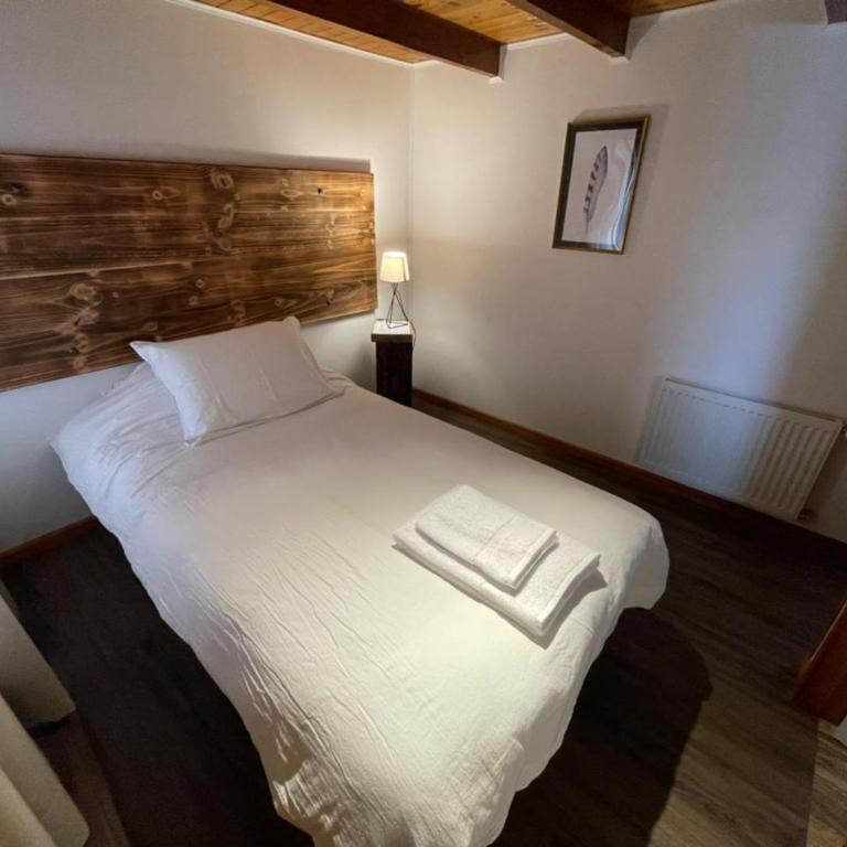 HOTEL VOLKANICO - Habitación Individual con baño privado - 5