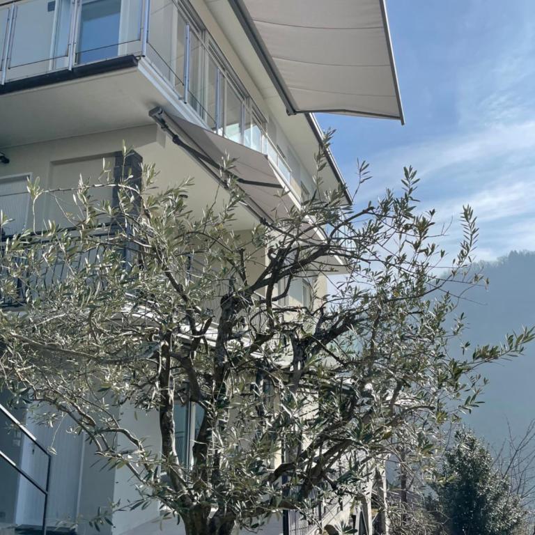 Casa Colmegna mit traumhaften See- und Bergblick - Apartamento con vistas al lago - 3