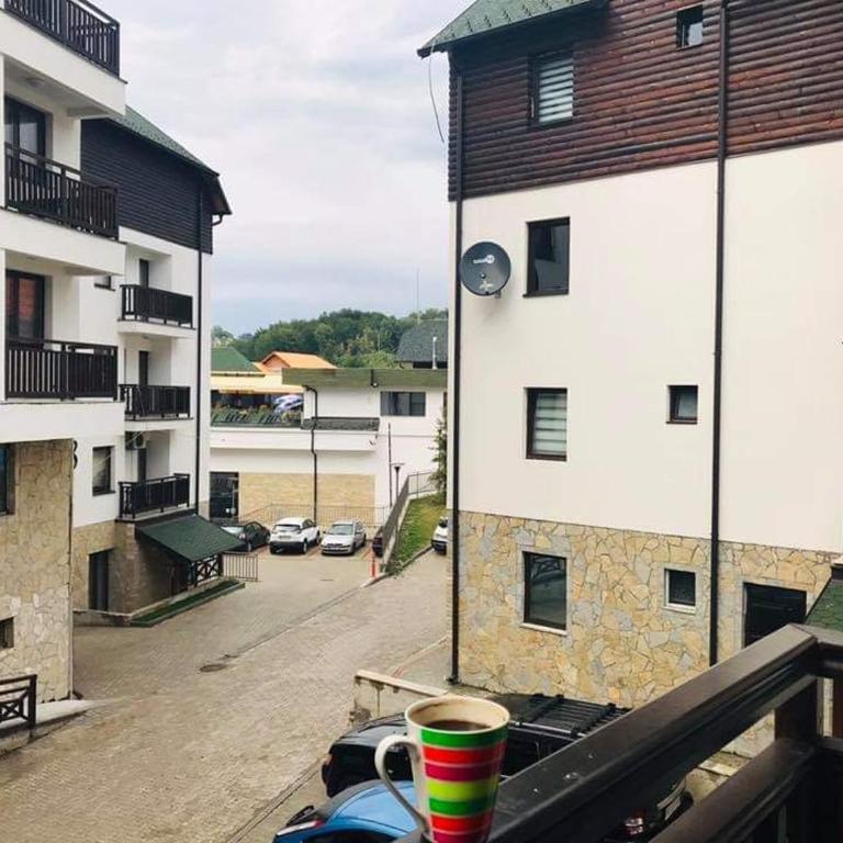 Zlatibor Lilly - Apartman - 23