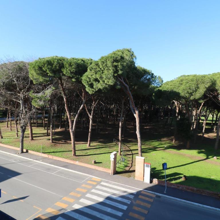 Maremma Holidays Cassarello Apartment - Appartamento con 2 Camere da Letto - 1