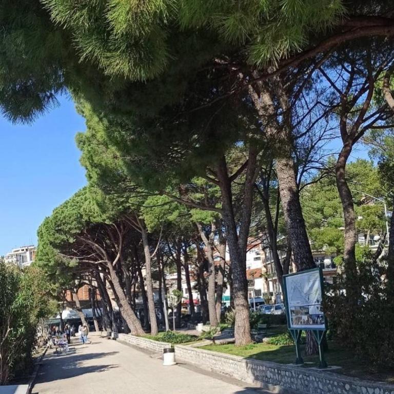 Beko stan - Apartment - 14