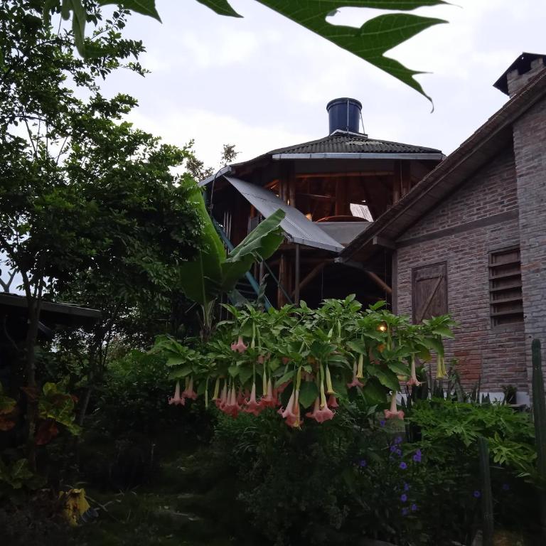 Punto Verde Ecological house - Studio with Ocean View - 3