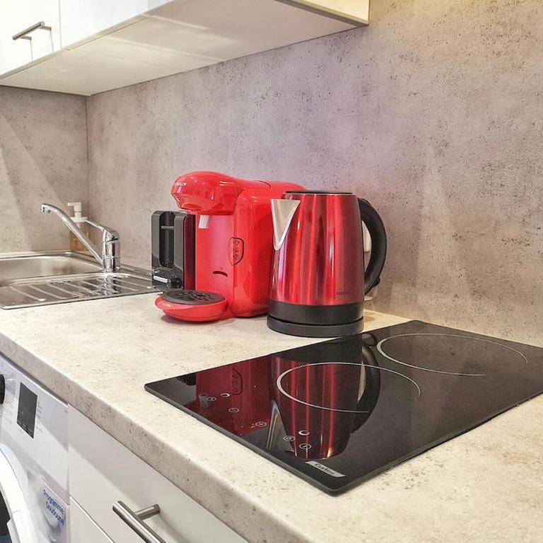 Rosa Maria Studio Centre ville Mulhouse - Apartment mit 1 Schlafzimmer - 3