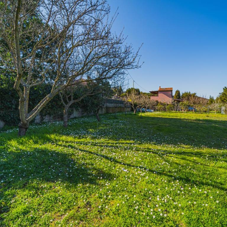 Casa Alex a Schiopparello - Goelba - Appartamento con 1 Camera da Letto - 36