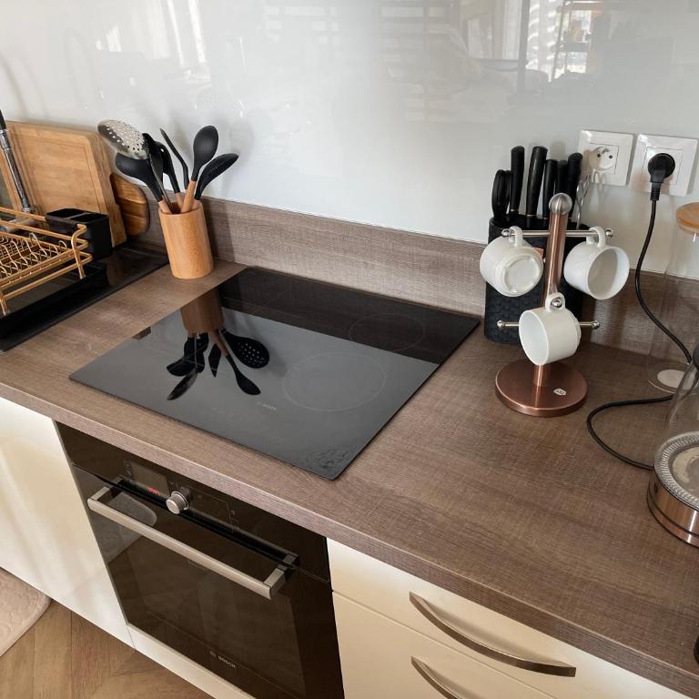 APPART 2P AVEC PARKING ET BALCON - gare val d'europe 5mn - disney 10mn - Appartement 1 Chambre - 16