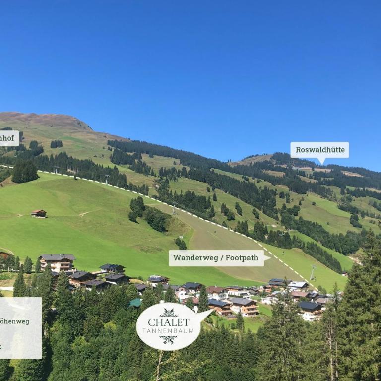 Chalet Tannenbaum - Chalet - 67