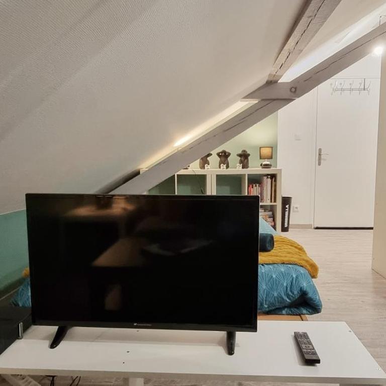 2 Charmants logements * CHARMANT GITE COLMAR * - Studio - 28