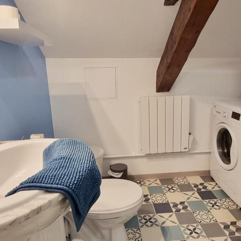 2 Charmants logements * CHARMANT GITE COLMAR * - Studio - 29