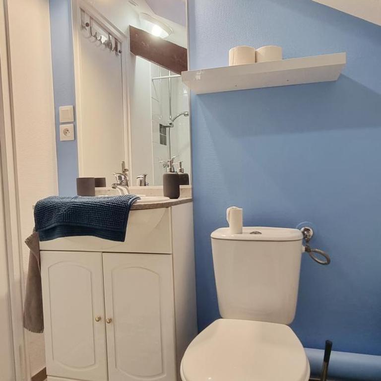 2 Charmants logements * CHARMANT GITE COLMAR * - Studio - 31