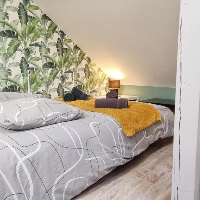 2 Charmants logements * CHARMANT GITE COLMAR * - Studio - 37