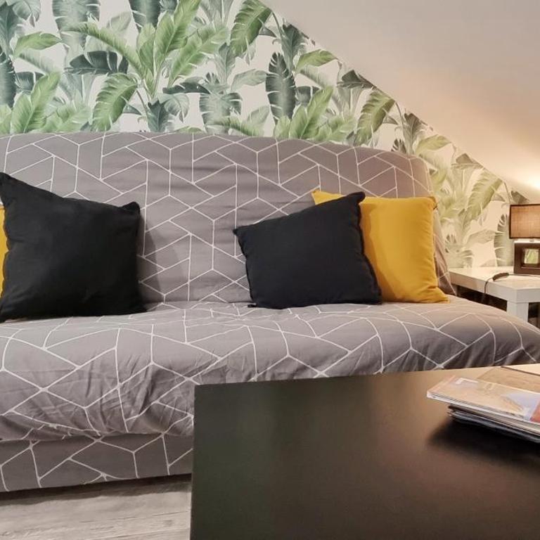 2 Charmants logements * CHARMANT GITE COLMAR * - Studio - 38