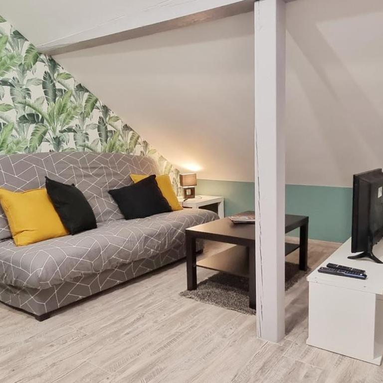 2 Charmants logements * CHARMANT GITE COLMAR * - Studio - 39
