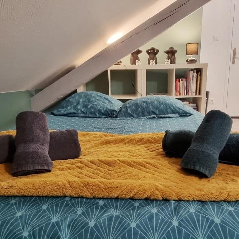 2 Charmants logements * CHARMANT GITE COLMAR * - Studio - 43