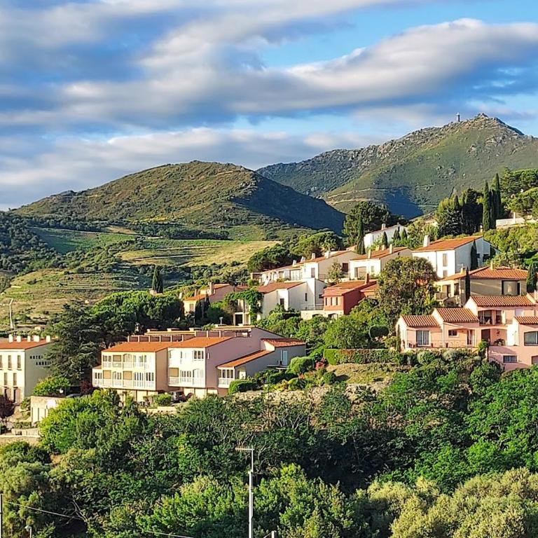 ROCADE DE COLLIOURE appt T4 avec grande terrasse et garage - Apartamento de 3 dormitorios - 5
