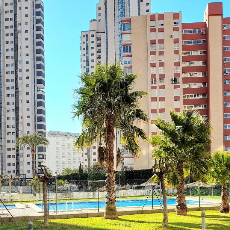 Torre Sol Lux Apartment 12 floor , free parking, - One-Bedroom Apartment - 5