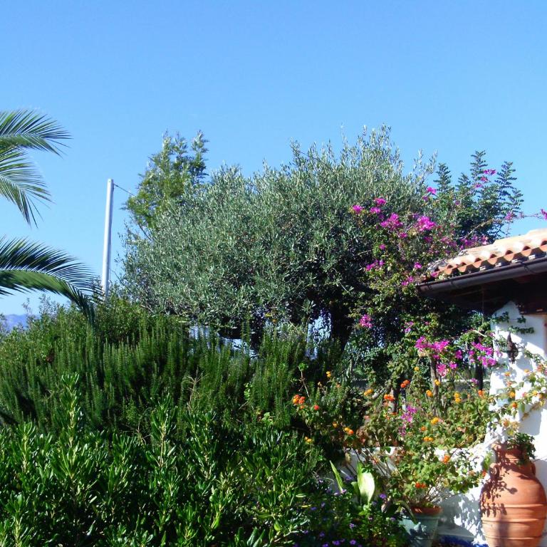 La Casa dell'Artista - Villa completamente recintata con giardino privato - Villa with Garden View - 50