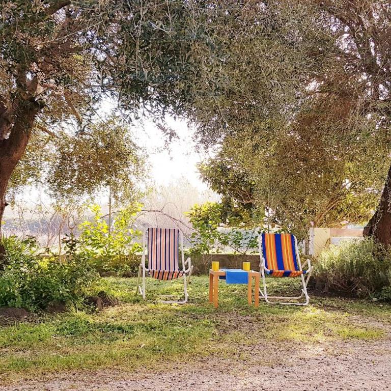 Le Caracol - Appartamenti immersi nel verde della campagna e a 1 chilometro da Orosei - Appartamento con 1 Camera da Letto - 23