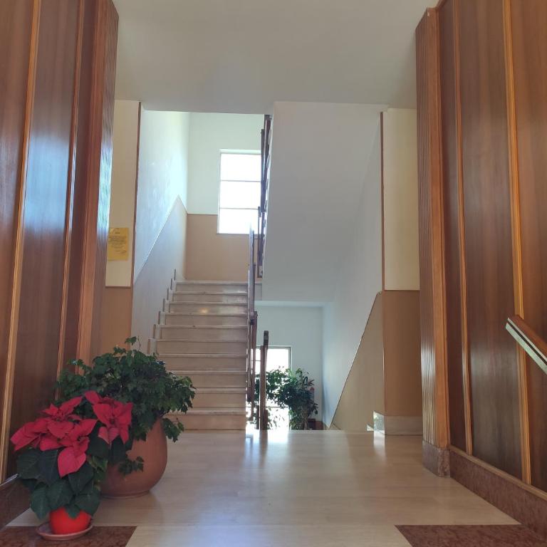 Appartamenti Bemar - Appartamento con 1 Camera da Letto - 5