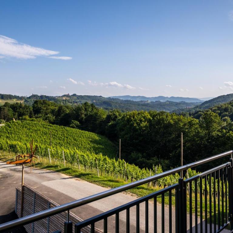 Ferienwohnung Weingut Birnstingl - Appartamento con Terrazza - 8