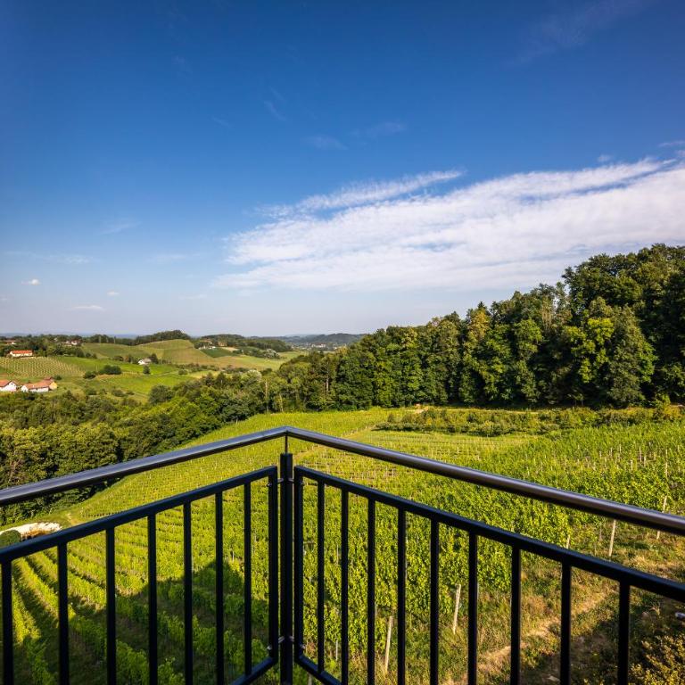 Ferienwohnung Weingut Birnstingl - Appartamento con Terrazza - 7