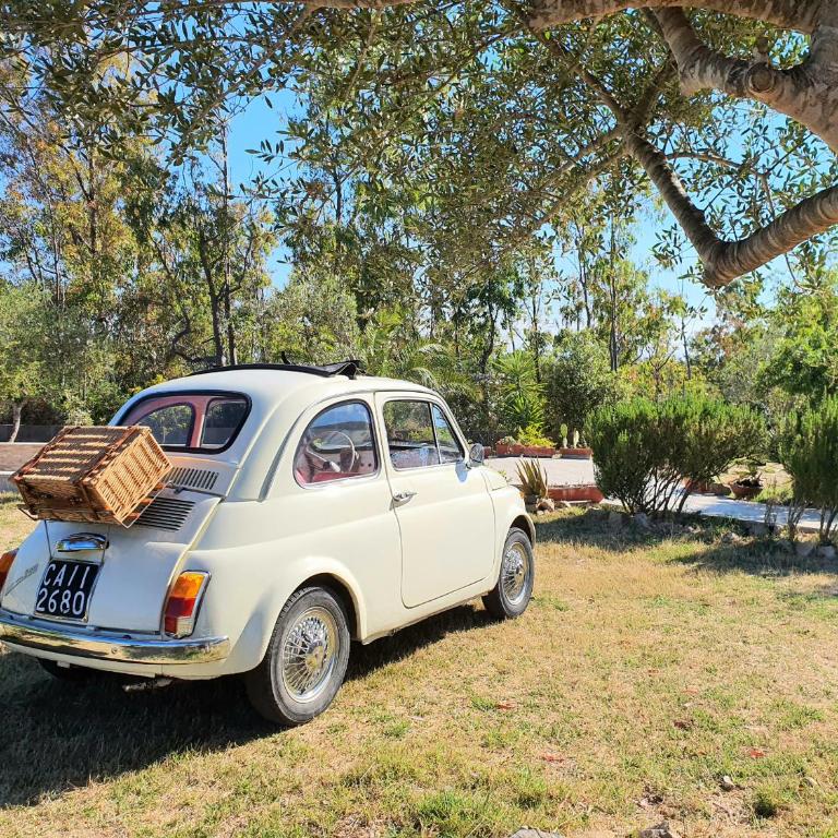 La Solidea - Villa con giardino a pochi passi da Cala Ginepro - Villa - 28