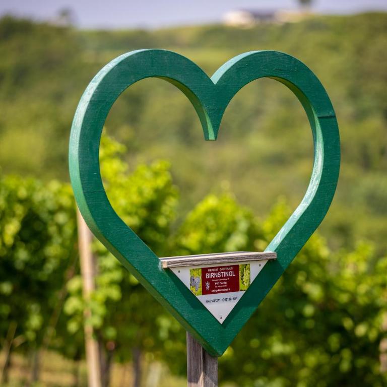 Ferienwohnung Weingut Birnstingl - Appartamento con Terrazza - 12