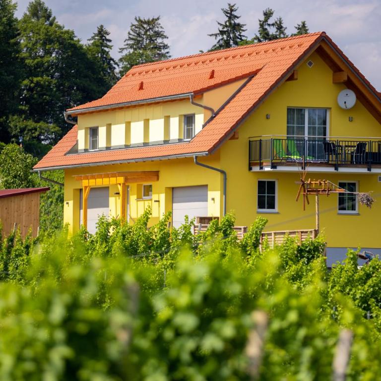 Ferienwohnung Weingut Birnstingl - Appartamento con Terrazza - 15