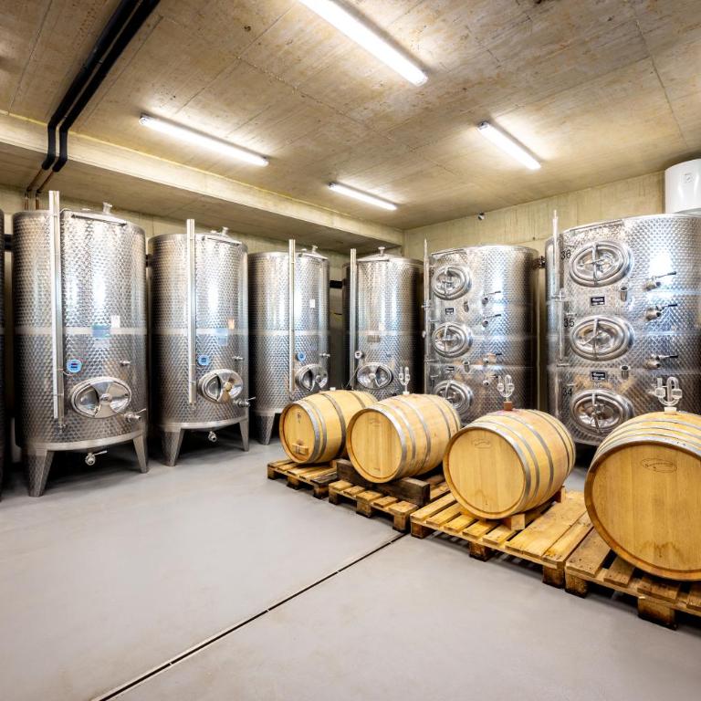 Ferienwohnung Weingut Birnstingl - Appartamento con Terrazza - 14