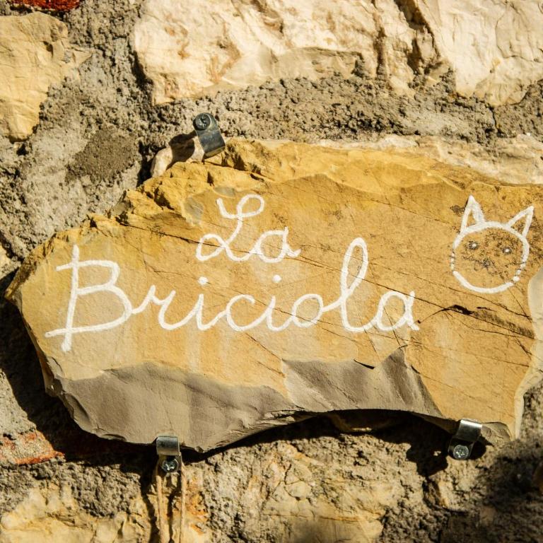 Il nido di briciola - mytouristhome - Appartamento con Balcone - 42