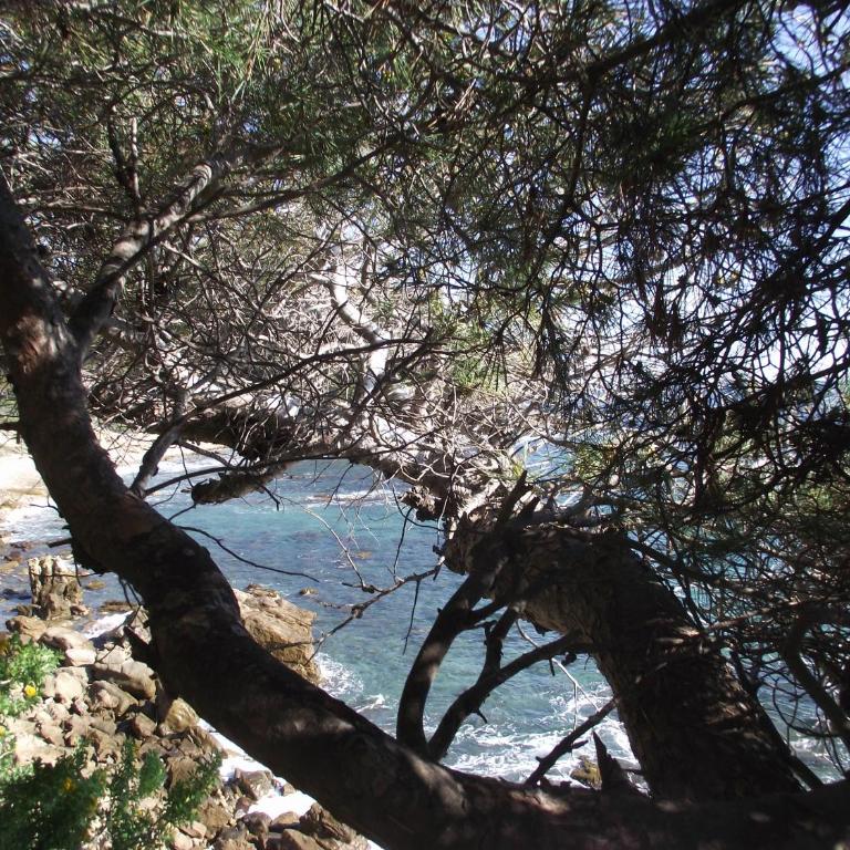 T2 climatisé à 500m de la plage sur la presqu'ile de Saint Mandrier sur Mer - Apartment mit 2 Schlafzimmern - 25