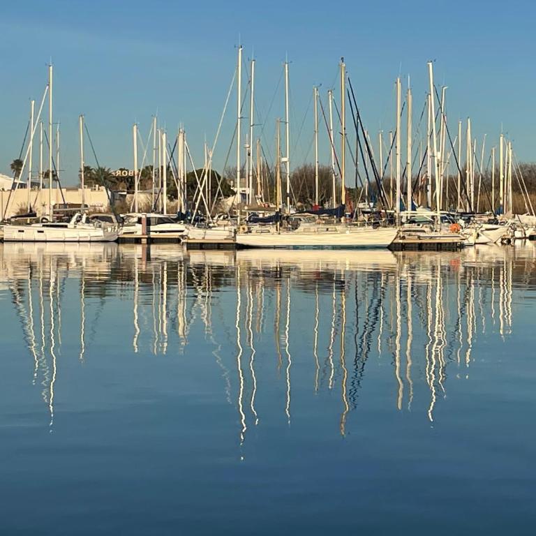 Studio - Les pieds dans l'eau agréable en toutes saisons 4 couchages - climatisation - parking privé - piscine sur mer - vue magnifique et rare - situation optimum - Les argonautes - Ile des pêcheurs - Cap d'Agde - One-Bedroom Apartment - 22