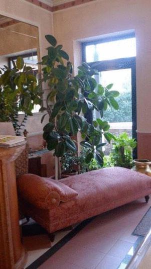 Hotel Borghetti - Camera Singola - 1