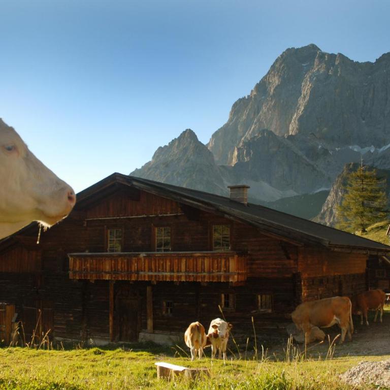 Haus Bergzauber - Appartement - 23