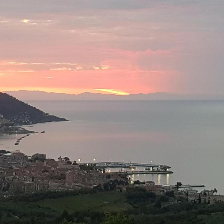 Appartamento Palme - Casa Vacanze con 1 Camera da Letto - 16