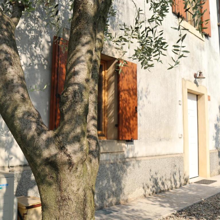 Casa Jasmin, 2 floors, private garden - Two-Bedroom Villa - 2